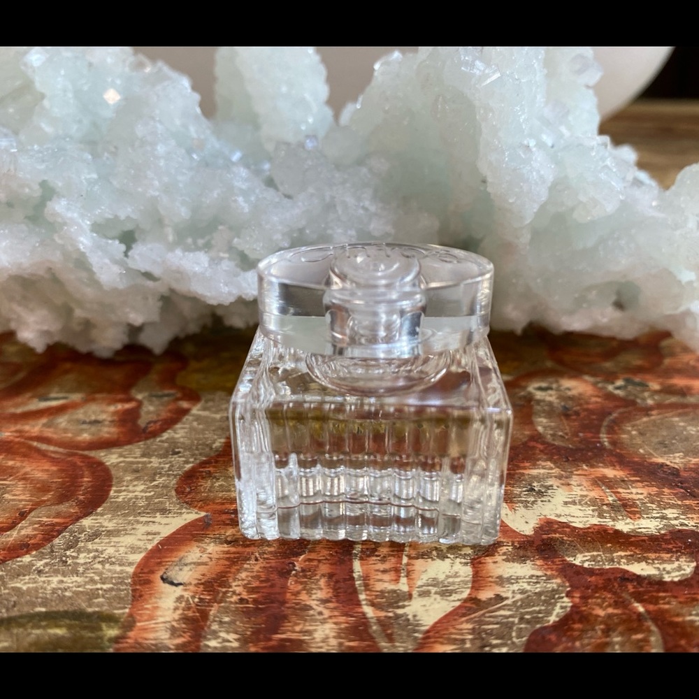 🦋Chloe Mini